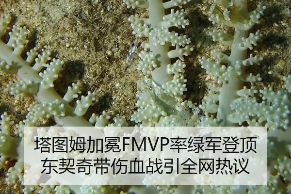 ta-tu-mu-jia-mian-lv-lv-jun-deng-ding-dong-qi-qi-dai-shang-xue-zhan-yin-quan-wang-re-yi-2-106.jpg